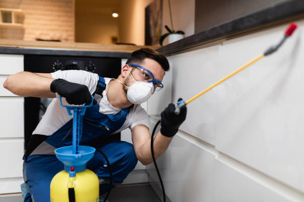 Best Affordable Pest Control Services  in Pacific, MO