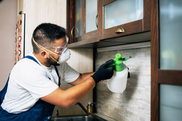 Best Pest Control for Businesses  in Pacific, MO