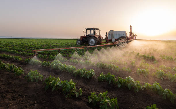 Best Commercial Pest Control Services  in Pacific, MO