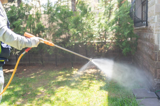 Reliable Pacific, MO Pest Control Solutions