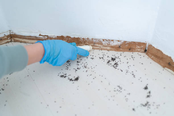 Best Pest Control for Businesses  in Pacific, MO