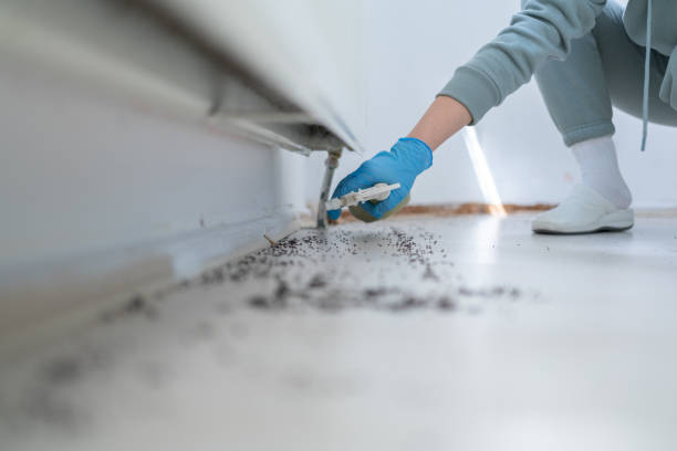Best Mosquito Control Services  in Pacific, MO